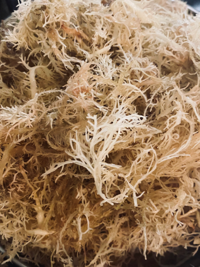 Organic Irish Sea Moss Gel - Made of 100% Pure Wild-Harvested Sea Moss | 8 oz- 16 oz- 32 oz